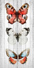 Vintage Butterfly 2 Poster Print by Kimberly Allen - Item # VARPDXKAPL133B