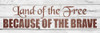 Land of the Free Poster Print by Allen Kimberly - Item # VARPDXKAPL189A