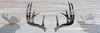 Wildlife Silhouette Poster Print by Allen Kimberly - Item # VARPDXKAPL262A