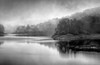 Dusk Poster Print by Kimberly Allen