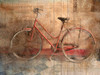 Rusty Bicycle Poster Print by Kimberly Allen - Item # VARPDXKARC019A