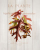Fall Botanical 2 Poster Print by Allen Kimberly - Item # VARPDXKARC1005B
