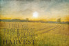 Already to Harvest Poster Print by Allen Kimberly - Item # VARPDXKARC1044A