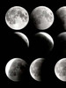 Moon Phase 1 Poster Print by Kimberly Allen - Item # VARPDXKARC109A