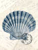 Shell Post 3 Poster Print by Allen Kimberly - Item # VARPDXKARC1243C
