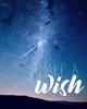 Make a Wish Poster Print by Allen Kimberly - Item # VARPDXKARC1251A