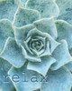 Relax and Breathe 1 Poster Print by Allen Kimberly - Item # VARPDXKARC1300A