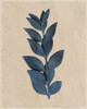 Blue Leaf Print 1 Poster Print by Allen Kimberly - Item # VARPDXKARC1310A