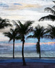 Sunset at the Beach 1 Poster Print by Allen Kimberly