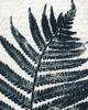 Pressed Leaf 2 Poster Print by Allen Kimberly - Item # VARPDXKARC1319B