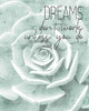 Dreams dont work Poster Print by Allen Kimberly - Item # VARPDXKARC1348B