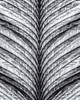 Black and White Feather 1 Poster Print by Allen Kimberly - Item # VARPDXKARC1374A