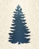 Christmas Luxe 5 Poster Print by Allen Kimberly - Item # VARPDXKARC1406A