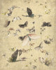 Butterflies in Flight 2 Poster Print by Allen Kimberly - Item # VARPDXKARC1419B
