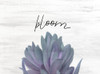 Bloom Poster Print by Allen Kimberly - Item # VARPDXKARC1426A