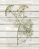 Dill Poster Print by Allen Kimberly - Item # VARPDXKARC1510B