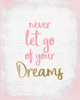 Never Let Go of your Dreams Poster Print by Allen Kimberly - Item # VARPDXKARC1527A