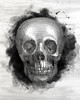 Skull Poster Print by Allen Kimberly - Item # VARPDXKARC1550D