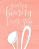 Some Bunny Loves You Poster Print by Allen Kimberly - Item # VARPDXKARC1577B