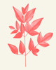 Coral Leaves 2 Poster Print by Allen Kimberly - Item # VARPDXKARC1587B