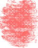 Coral Whites 2 Poster Print by Allen Kimberly - Item # VARPDXKARC1590B