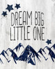 Dream Big Little One Poster Print by Allen Kimberly - Item # VARPDXKARC1596A