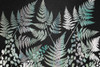 Sparkle Ferns Poster Print by Allen Kimberly - Item # VARPDXKARC1613A