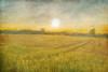 Already to Harvest Poster Print by Allen Kimberly - Item # VARPDXKARC1628A