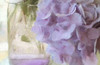 Hydrangea Jar Poster Print by Kimberly Allen