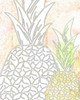 Pinneapple 2 Poster Print by Kimberly Allen - Item # VARPDXKARC229B
