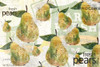 Fresh Pears Poster Print by Kimberly Allen - Item # VARPDXKARC251C