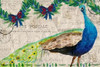 Christmas Postcard Peacock Poster Print by Kimberly Allen - Item # VARPDXKARC259C