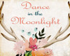 Dance In The Moonlight Poster Print by Kimberly Allen - Item # VARPDXKARC266A