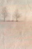 Dawn of Day 1 Poster Print by Kimberly Allen - Item # VARPDXKARC278A