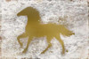 Golden Horse Poster Print by Kimberly Allen - Item # VARPDXKARC283A