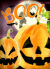 Boo Pumpkins Poster Print by Kimberly Allen - Item # VARPDXKARC295A