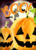 Boo Pumpkins Poster Print by Kimberly Allen - Item # VARPDXKARC295A