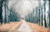 Pathway in the Mist Poster Print by Kimberly Allen - Item # VARPDXKARC315A