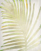 Tropical Palms 1 Poster Print by Kimberly Allen - Item # VARPDXKARC361A