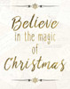 Believe In The Magic Poster Print by Kimberly Allen - Item # VARPDXKARC364A