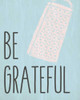 Be Grateful Poster Print by Kimberly Allen - Item # VARPDXKARC369B