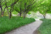 Along the Path Poster Print by Kimberly Allen - Item # VARPDXKARC413A