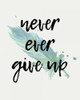 Never give Up Poster Print by Kimberly Allen - Item # VARPDXKARC433B