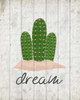 Cactus Dream Poster Print by Kimberly Allen - Item # VARPDXKARC470B1