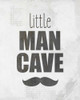 Little Man Cave Poster Print by Kimberly Allen - Item # VARPDXKARC472A