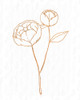 Copper Botanical 1 Poster Print by Allen Kimberly - Item # VARPDXKARC496A