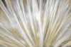 Burst of Day Poster Print by Allen Kimberly - Item # VARPDXKARC504A