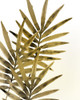 Ferns 1 Poster Print by Allen Kimberly - Item # VARPDXKARC574A