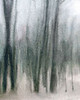 Shrouded Forest 2 Poster Print by Kimberly Allen - Item # VARPDXKARC634B