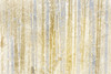 Gilded Forest Poster Print by Allen Kimberly - Item # VARPDXKARC647A